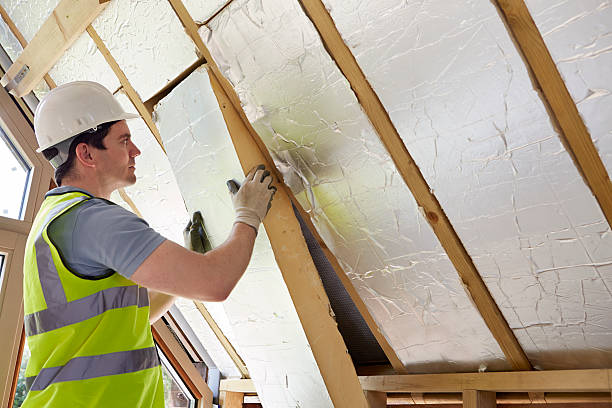 Best Insulation Maintenance and Repair in Woodmoor, CO