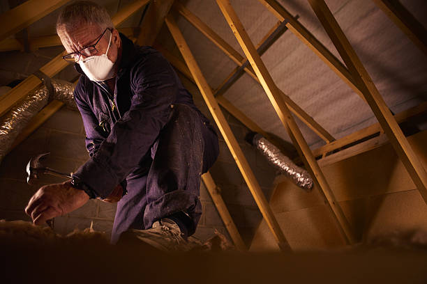 Best Insulation Installation Services in Woodmoor, CO