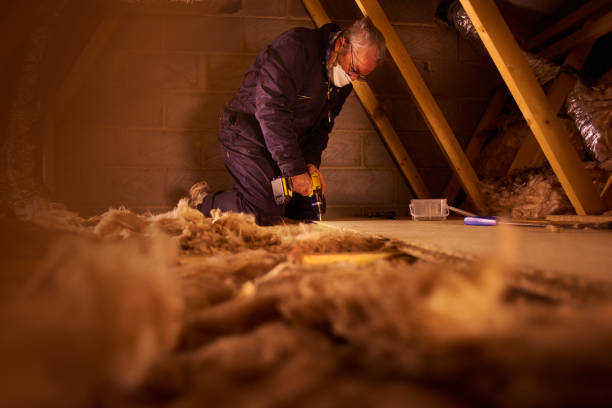 Best Insulation Installation Services in Woodmoor, CO